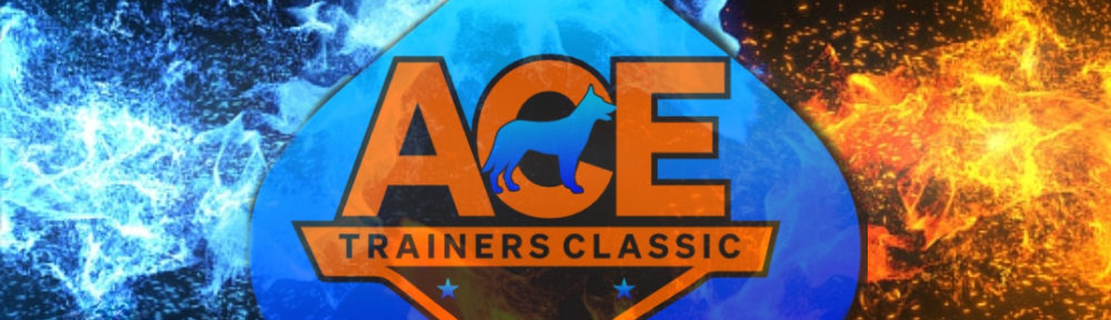 Ace Trainers Classic Points Add Up